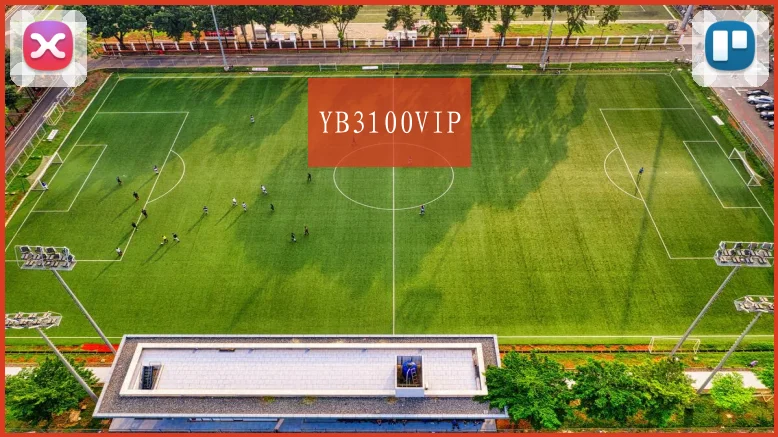 YB3100VIP