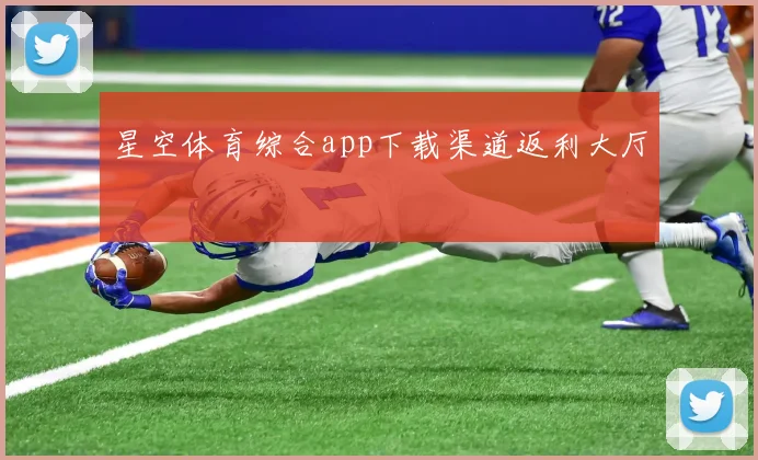 星空体育综合app下载渠道返利大厅