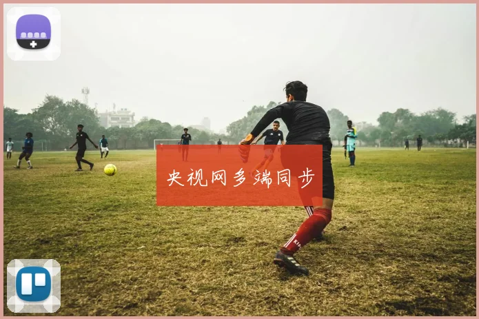 央视网多端同步