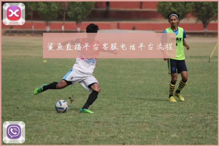 鲨鱼直播平台客服电话平台流程