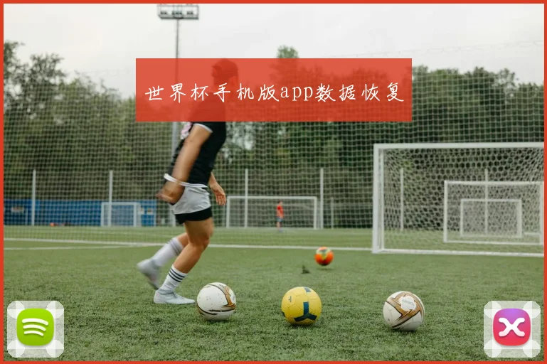 世界杯手机版app数据恢复