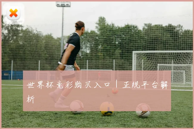 世界杯竞彩购买入口｜正规平台解析