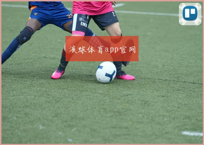 滚球体育app官网