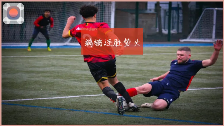 鹈鹕连胜势头