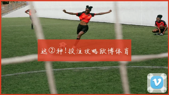 这②种!投注攻略欧博体育