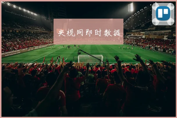 央视网即时数据