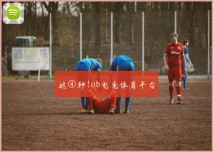 这④种!ob电竞体育平台