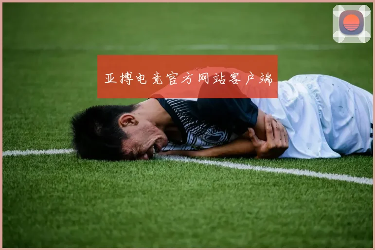 亚搏电竞官方网站客户端