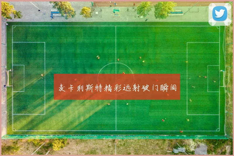 麦卡利斯特精彩远射破门瞬间