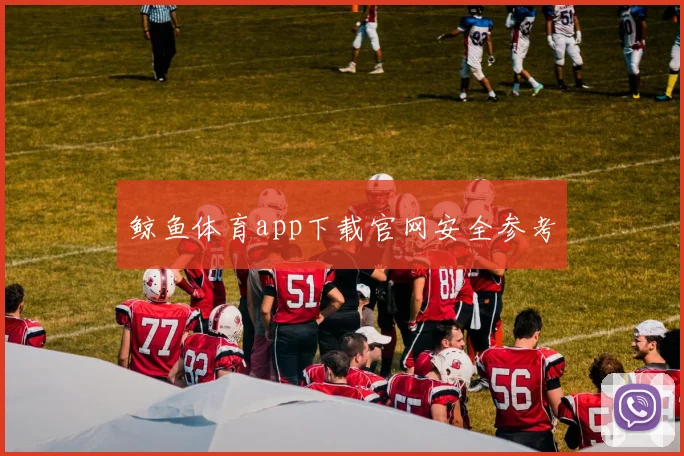 鲸鱼体育app下载官网安全参考