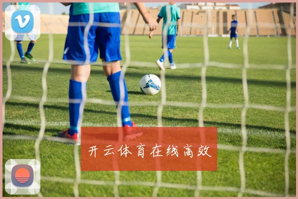 开云体育在线高效