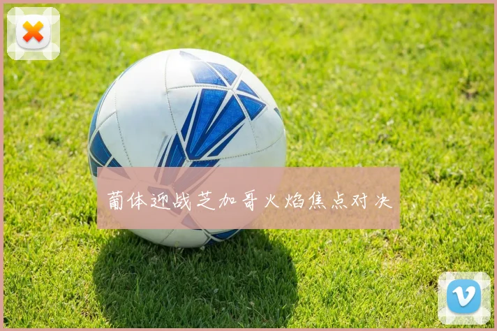 葡体迎战芝加哥火焰焦点对决