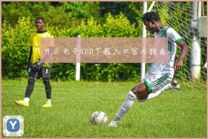 开云电子app下载入口官方指南