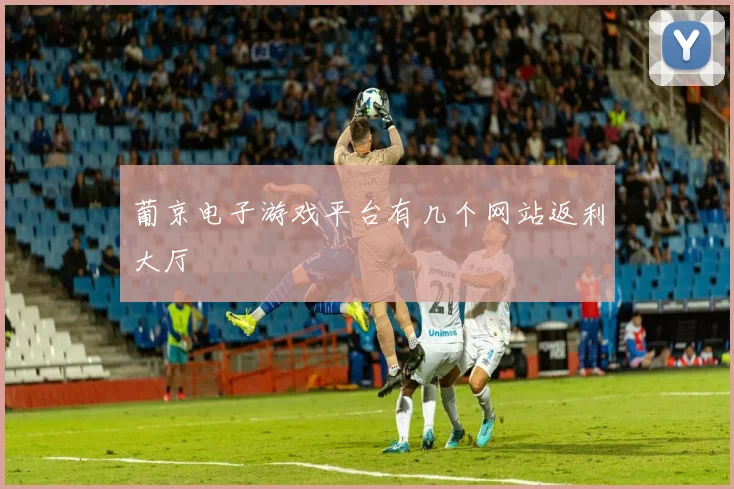葡京电子游戏平台有几个网站返利大厅