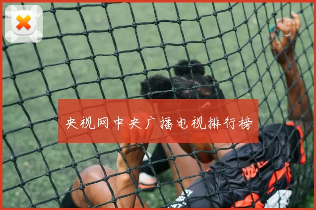 央视网中央广播电视排行榜