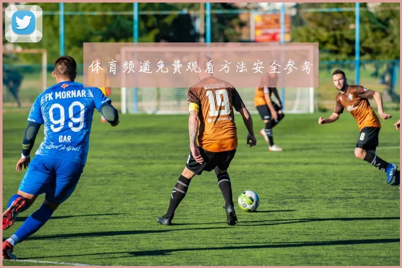 体育频道免费观看方法安全参考