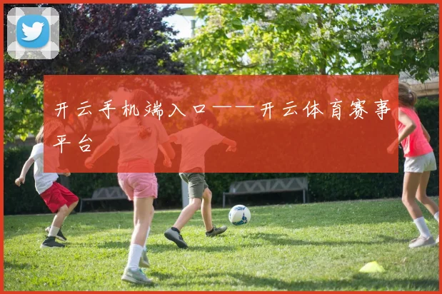 开云手机端入口——开云体育赛事平台