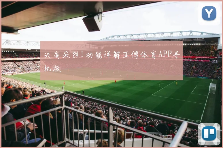 兴高采烈!功能详解亚傅体育APP手机版