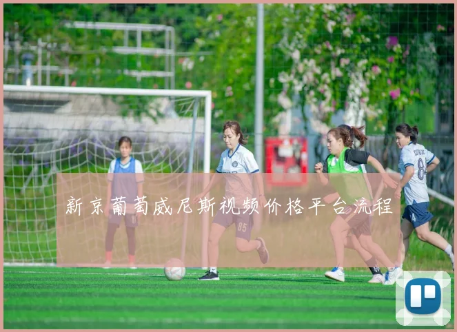 新京葡萄威尼斯视频价格平台流程