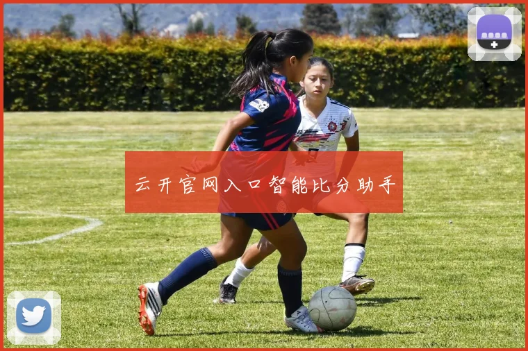 云开官网入口智能比分助手