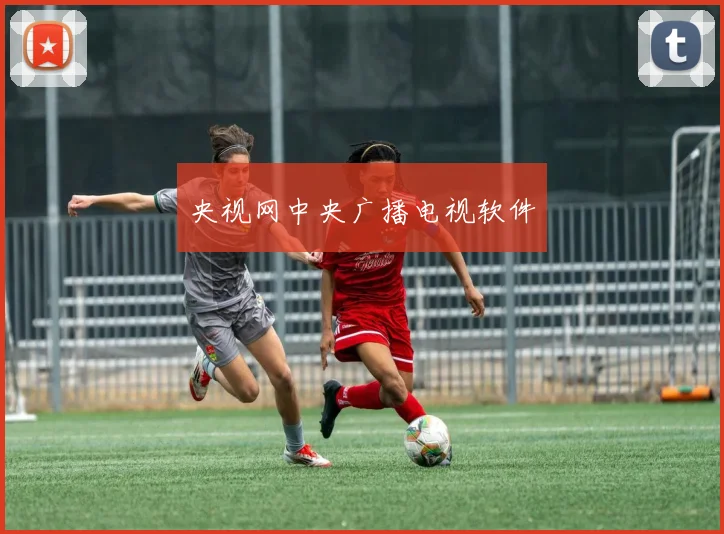 央视网中央广播电视软件