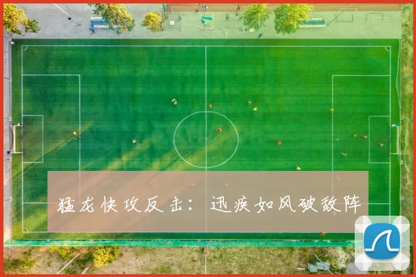 猛龙快攻反击：迅疾如风破敌阵