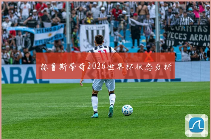 赫鲁斯蒂奇2026世界杯状态分析