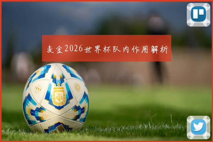 麦金2026世界杯队内作用解析