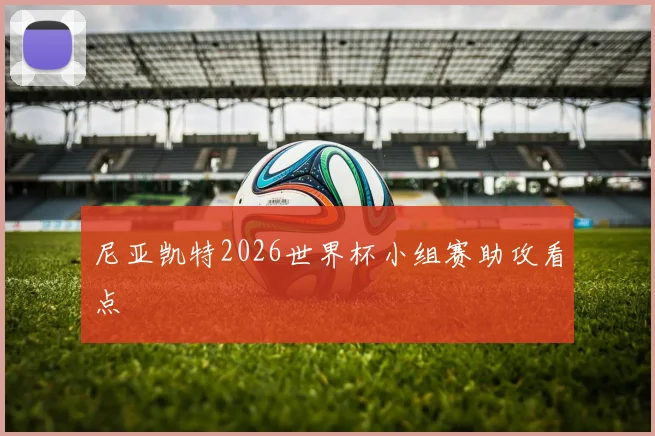 尼亚凯特2026世界杯小组赛助攻看点