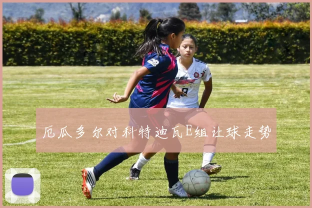 厄瓜多尔对科特迪瓦E组让球走势