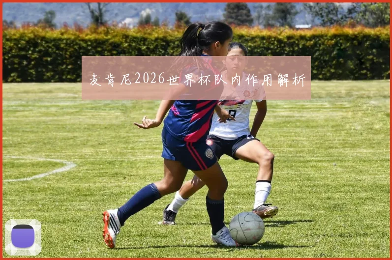 麦肯尼2026世界杯队内作用解析