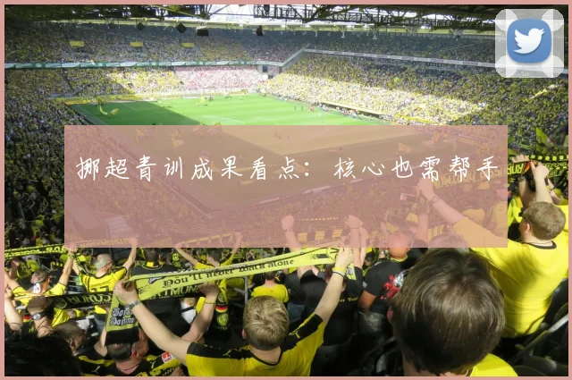 挪超青训成果看点：核心也需帮手